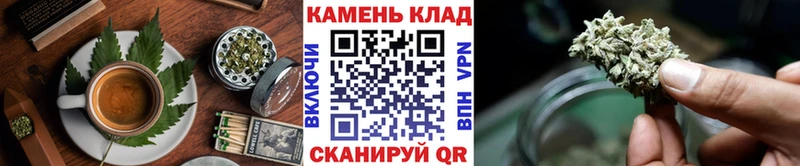 Купить закладки  Приморск  Canna-Cookies конопля 